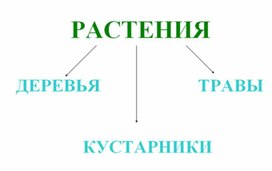 Обложка для материала Окружающий мир для начальных классов_схема_20