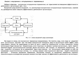 Обложка для материала Анали з внутренни х ситуационны х переменны х