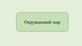 Презентация к уроку окружающего мира "Разнообразие веществ" (3 класс)