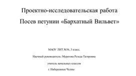 Обложка для материала Презентация "Исследовательская работа"