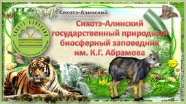 Сихотэ - Алинский заповедник. Мир птиц.