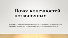 Пояса конечностей позвоночных животных