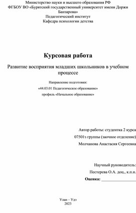 Развитие восприятия младших школьников в учебном процессе