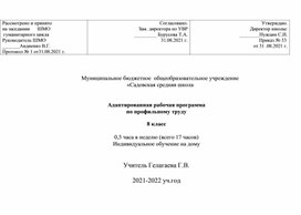 Обложка для материала Адаптированная рабочая программа по профильному труду  8 класс