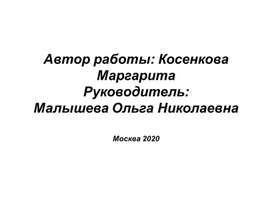 Кто такие птицы и что интересного есть в их жизни?