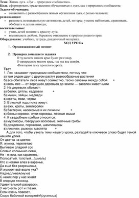 Окружающий мир. Тема: Жизнь луга. «Луг – природное сообщество».