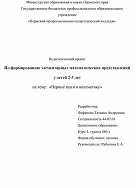 Педагогический проект По формированию элементарных математических представлений  у детей 2-3 лет на тему:  «Первые шаги в математику»