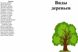 Буклет "Виды деревьев"