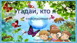 Обложка для материала Презентация "Насекомые"