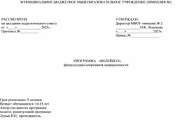 Обложка для материала ПРОГРАММА   «ВОЛЕЙБОЛ» физкультурно-спортивной направленности