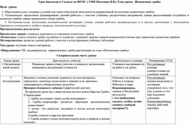 Урок биологии 5 класс на тему "Шляпочные грибы"