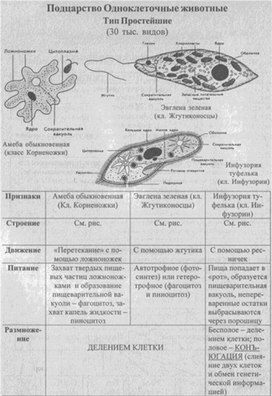 Материал к урокам  биологии