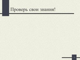 Урок литературы в 5 классе "Краткие сведения о М.В. Ломоносове"