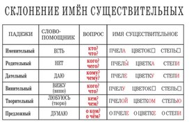 Обложка для материала склонение имен существительных