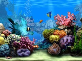 ТУрок-путешествие в подводное царство «Правило вычитания  суммы от числа»3 класс