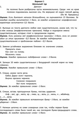 Русский язык. 4 класс. Олимпиадные задания (подготовка)