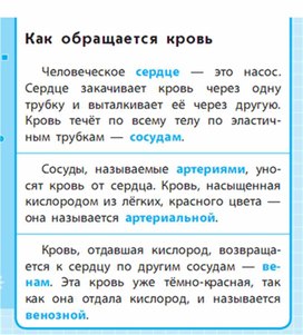 Обложка для материала Окружающий мир для 1-4 классов_схема11