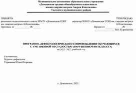 Коррекционно-развивающая программа с умственной отсталостью (интеллектуальными нарушениями) вариант 1