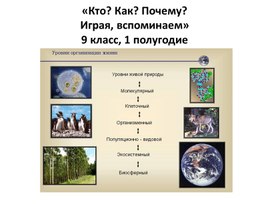 Обложка для материала игра для 9 класса вспомнить все