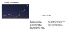 Презентация на тему "Тип Кишечнополостные. Многообразие и значение"