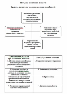 Обложка для материала теории и методики физического воспитания 65