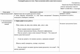 Обложка для материала Сценарий урока по теме "Три склонения имён существительных"