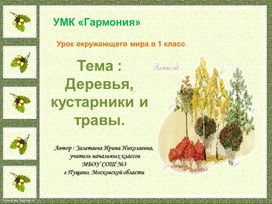 Обложка для материала Презентация к уроку окружающего мира по теме "Деревья, кустарники и травы"