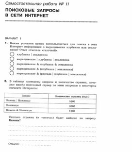 Обложка для материала Самостоятельная работа по информатике  для 11 классов