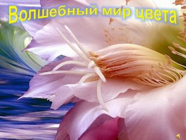 Обложка для материала Волшебный мир цвета