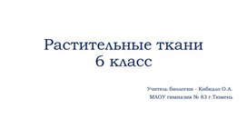 Лабораторная работа по теме "Ткани растений"