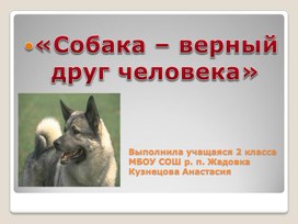 Обложка для материала Презентация "Собака- друг человека"