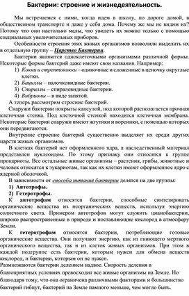 Обложка для материала Конспект по бактериям