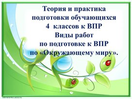 Презентация к выступлению на городском семинаре для учителей начальных классов