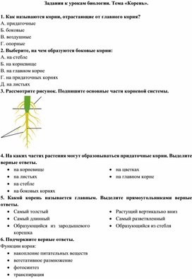 Тест по биологии 5 класс жизнедеятельность. Задания по биологии. Биология самостоятельная работа. Самостоятельные работы по биологии. Задания по теме корень.