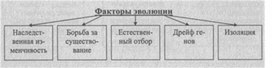 Материал к урокам  биологии