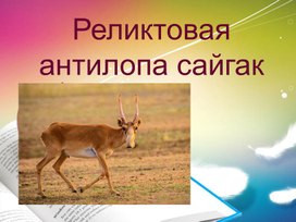 Обложка для материала Реликтовая антилопа сайгак
