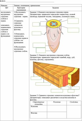 Формативное оценивание по биологии, 7 класс