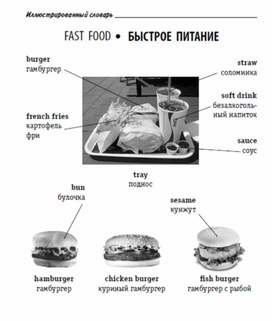 Обложка для материала Иллюстрированный словарь английских слов