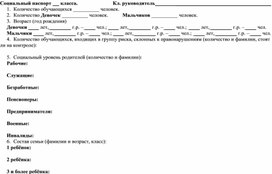 ШАБЛОН Социальный паспорт класса