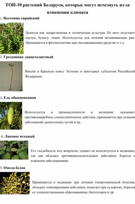 ТОП-10 растений Беларуси, которые могут исчезнуть из-за изменения климата