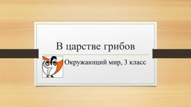 Презентация по окружающему миру "В царстве грибов" 3 класс