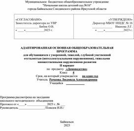 Обложка для материала Рабочая программа АООП  "Домоводство" 4 класс