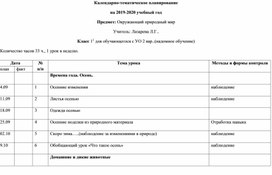 Календарно-тематическое планирование для ученика 1 класса с ТМНР по предмету "Окружающий природный мир"