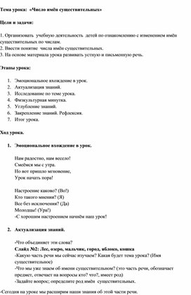 Конспект по русскому языку "Число имени существительного"