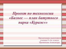 «Бизнес — план батутного парка «Кураж»