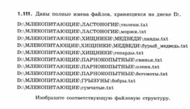 Обложка для материала Информатика._7-9кл._задачи_файлы 2