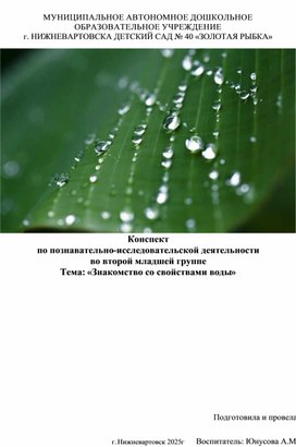 Обложка для материала Конспект по познавательно-исследовательской деятельности во второй младшей группе Тема: «Знакомство со свойствами воды»