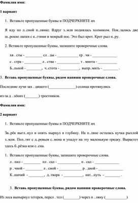 Самостоятельная работа 2 класс перспектива "Безударные гласные"