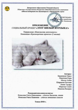 Обложка для материала Социальный проект "Этот милый Мурлыкак" Приложение