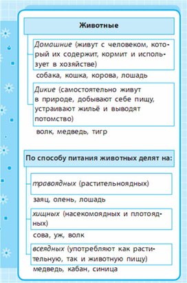 Обложка для материала Окружающий мир для 1-4 классов_схема_16